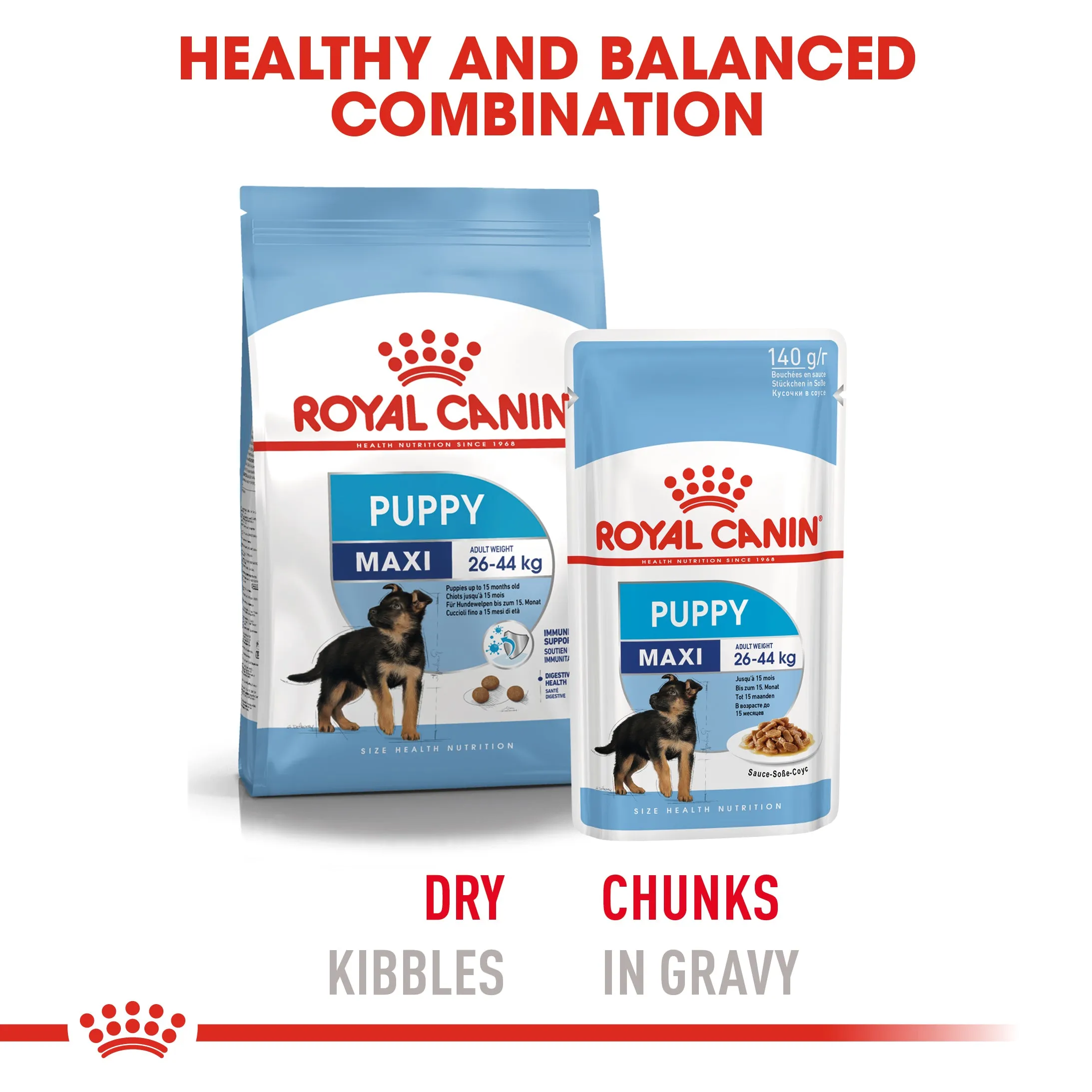 Royal Canin Maxi Puppy in Gravy Pouch 140g