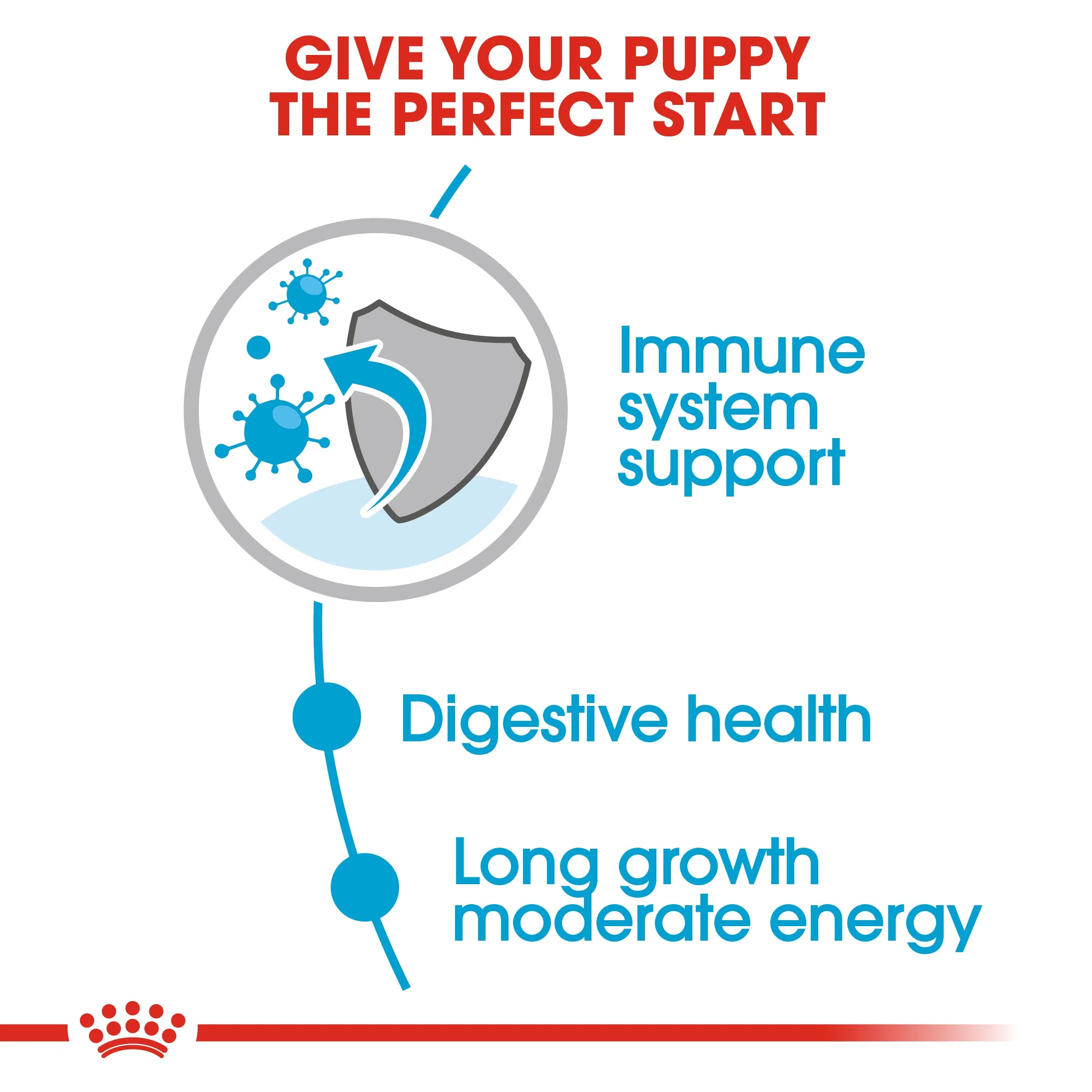 Royal Canin Maxi Puppy in Gravy Pouch 140g