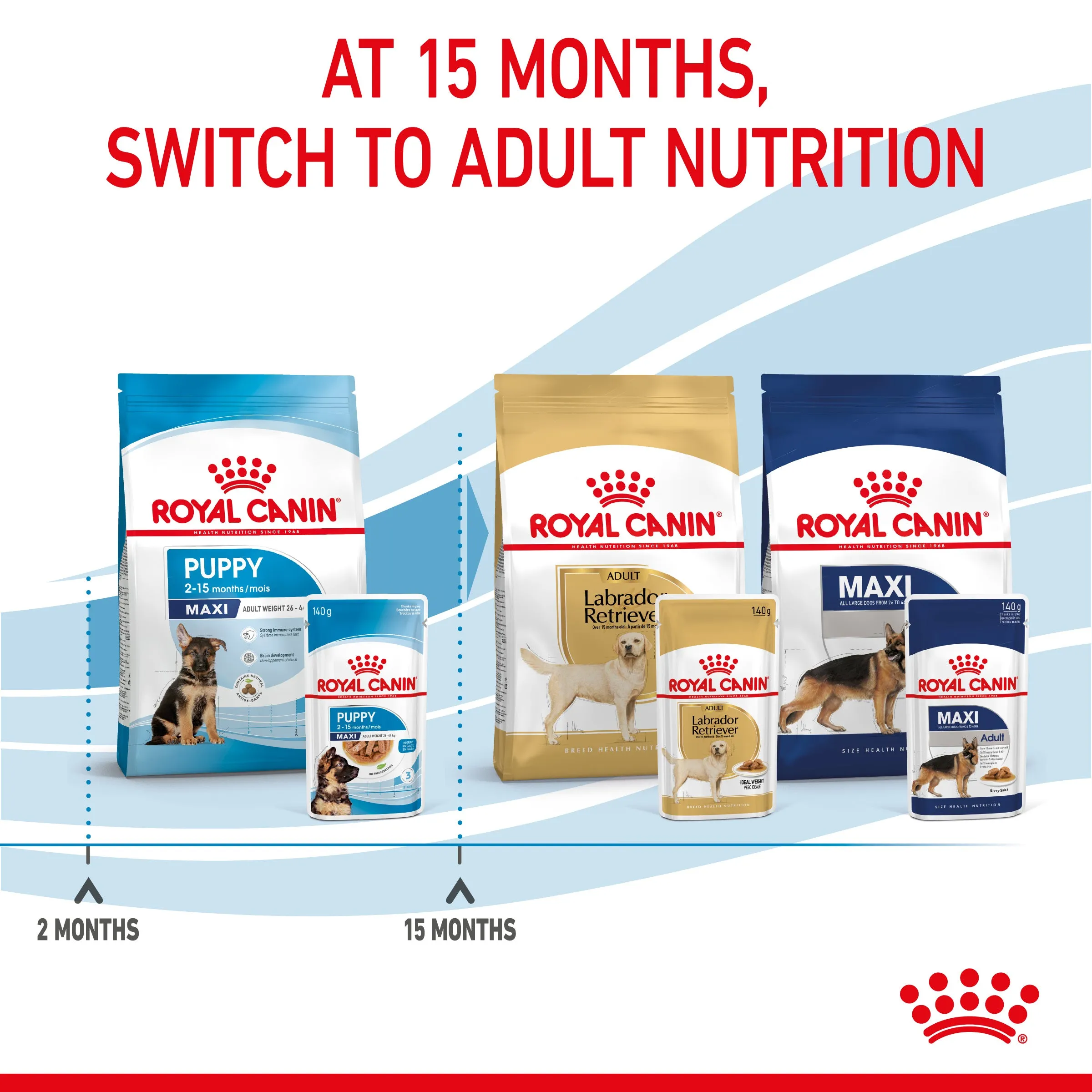 Royal Canin Maxi Puppy in Gravy Pouch 140g