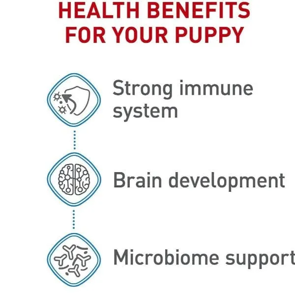 Royal Canin Medium Puppy Dry Dog Food