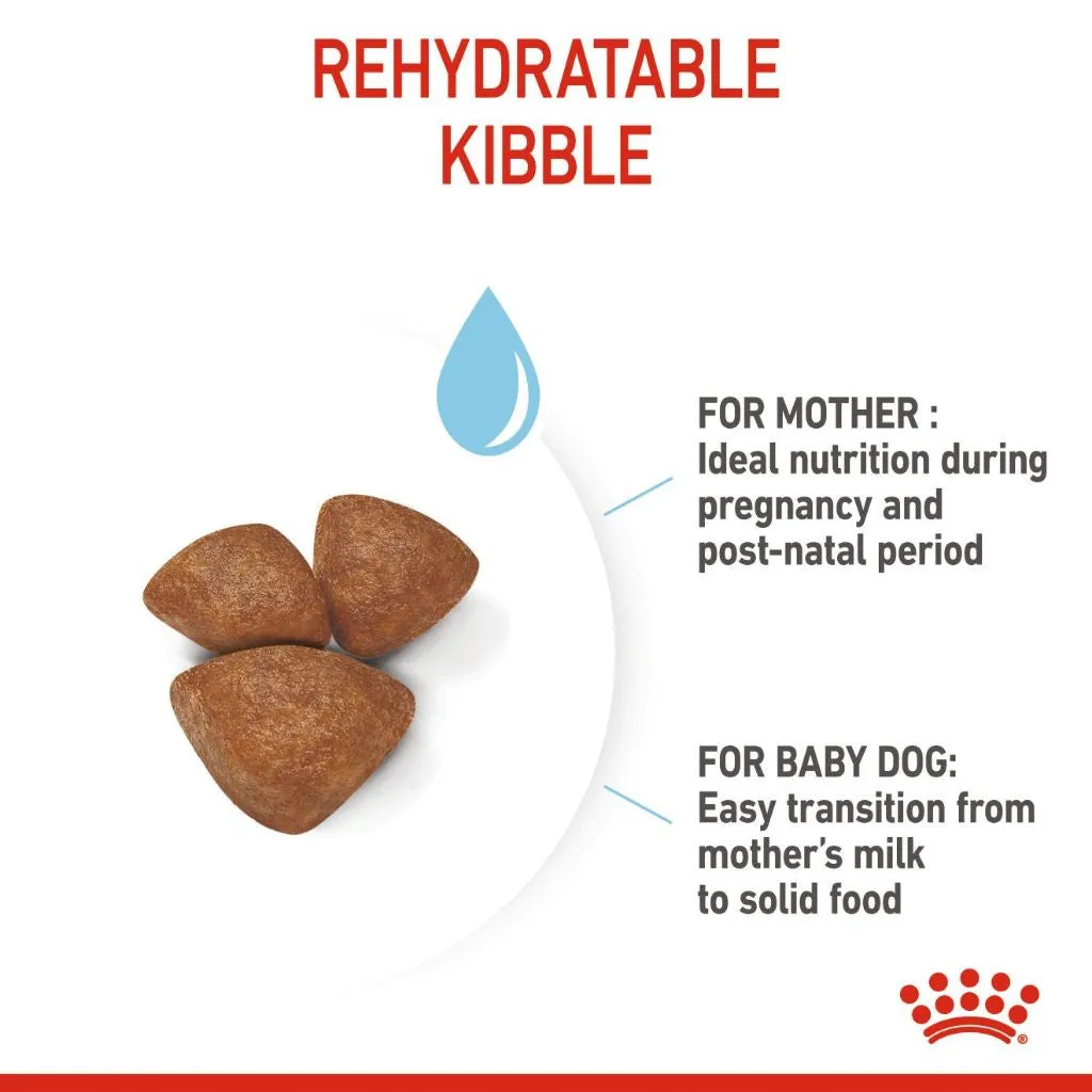 Royal Canin Mini Starter Mother & Babydog 4kg Dry Dog Food for Adult/Puppy/Baby
