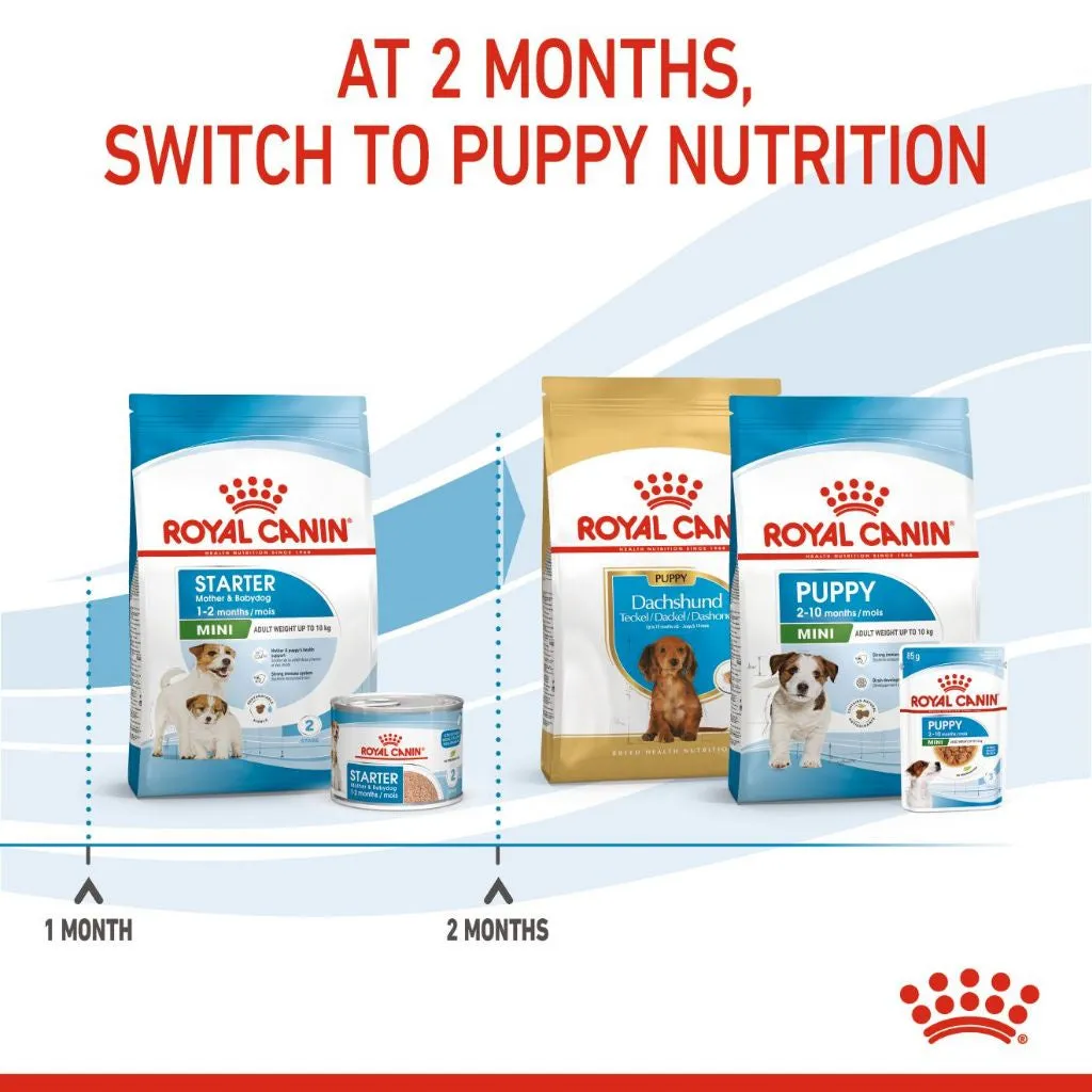 Royal Canin Mini Starter Mother & Babydog 4kg Dry Dog Food for Adult/Puppy/Baby