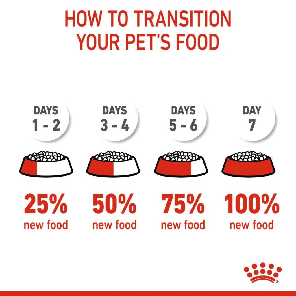 Royal Canin Mini Starter Mother & Babydog 4kg Dry Dog Food for Adult/Puppy/Baby