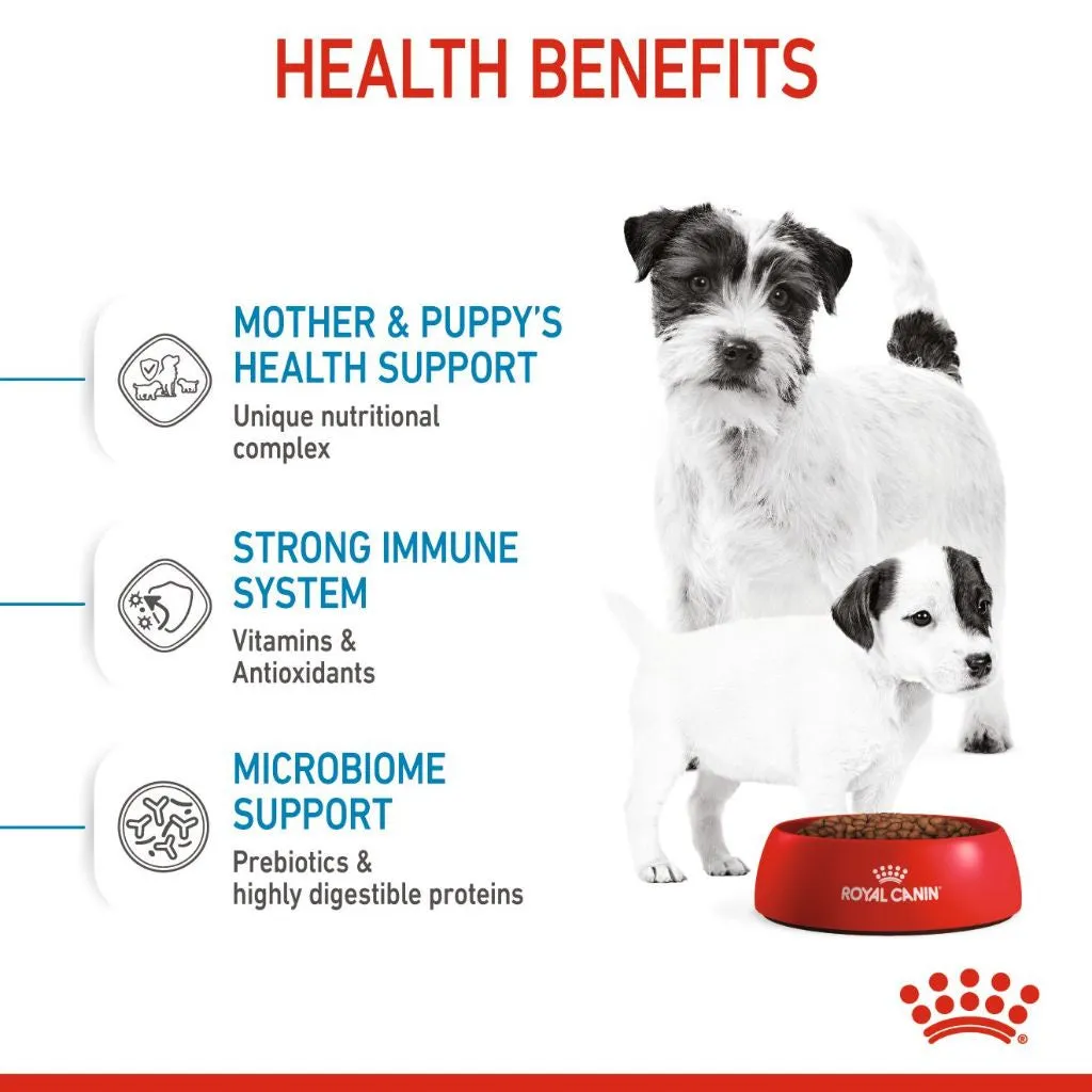 Royal Canin Mini Starter Mother & Babydog 4kg Dry Dog Food for Adult/Puppy/Baby