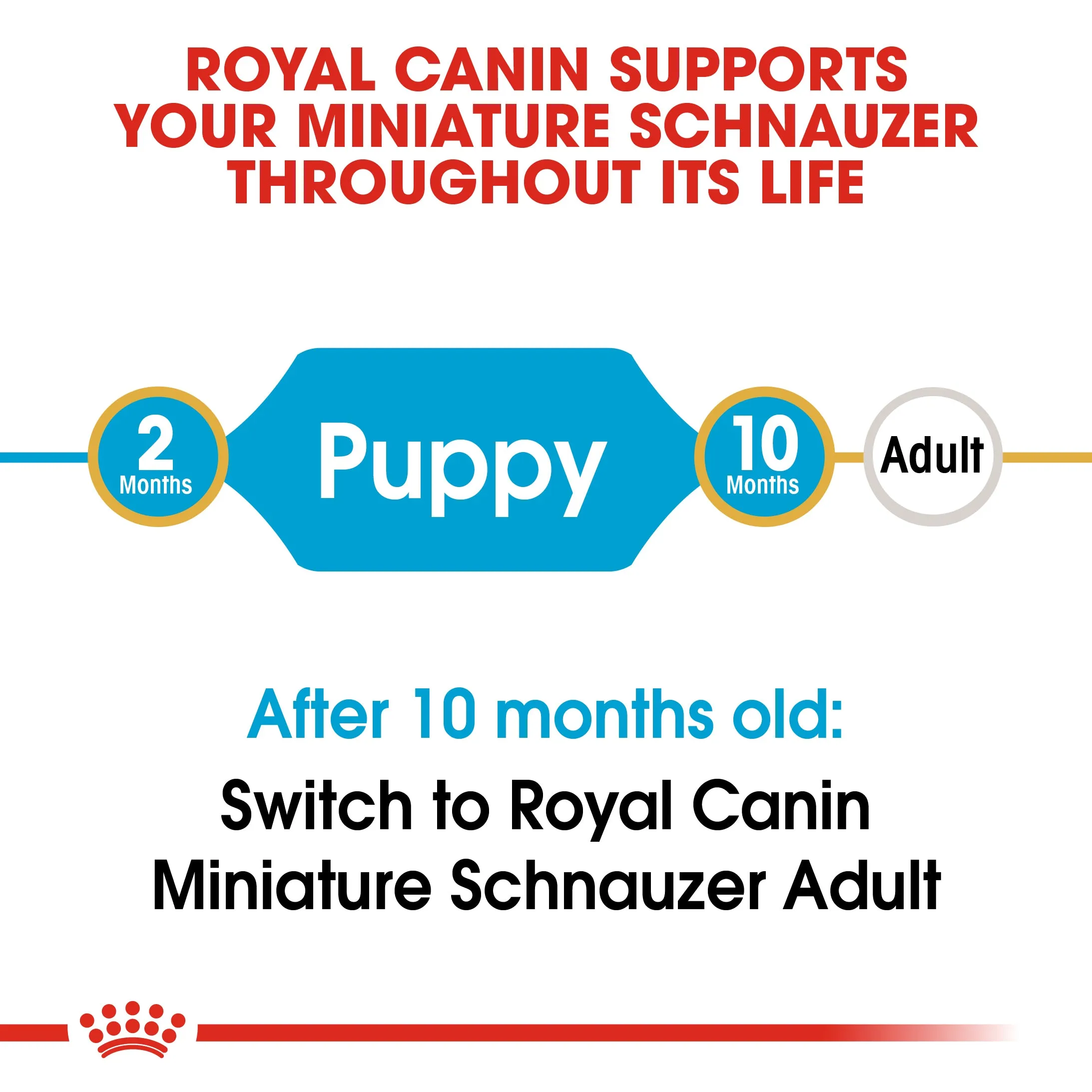 Royal Canin Miniature Schnauzer Puppy/Junior 1.5kg