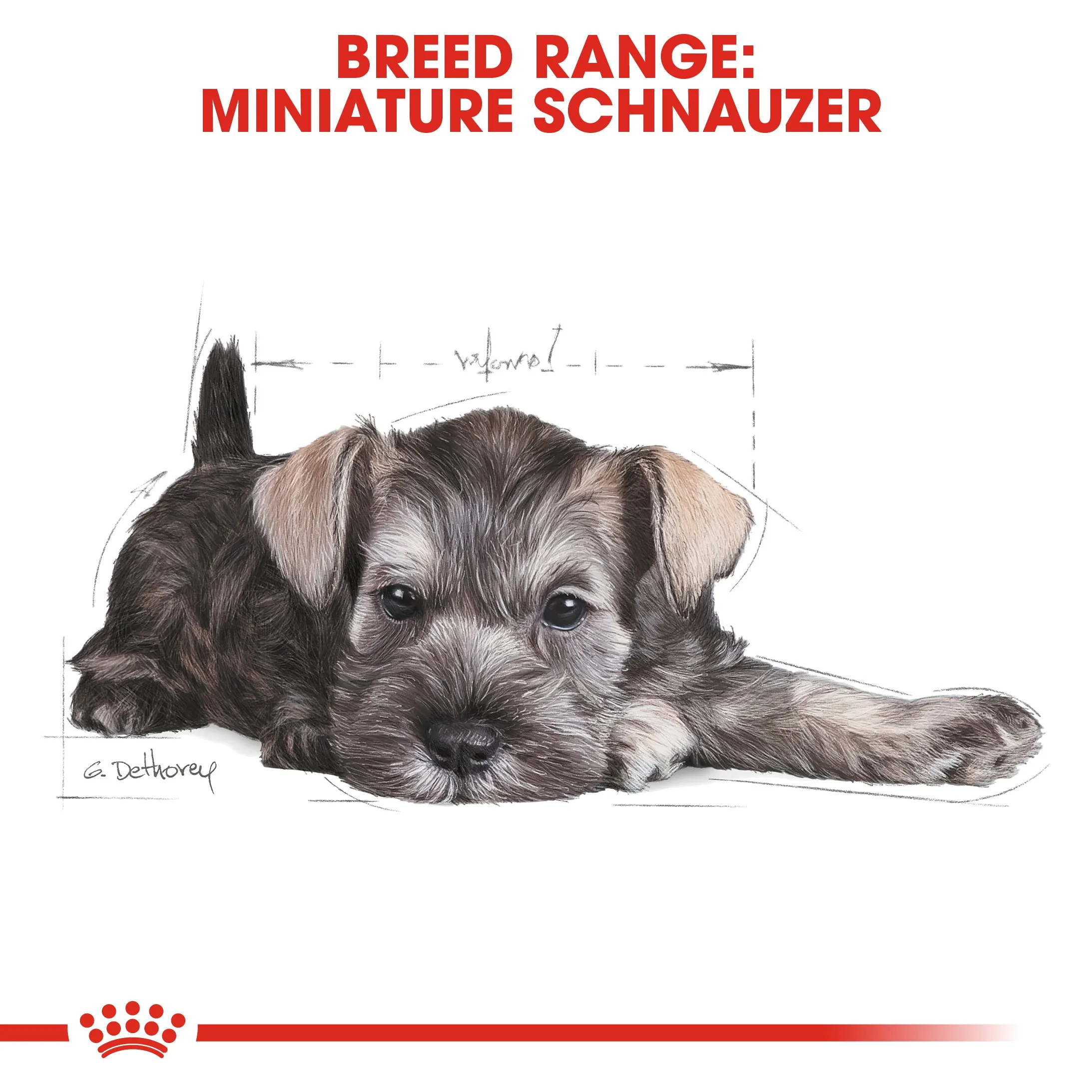 Royal Canin Miniature Schnauzer Puppy/Junior 1.5kg