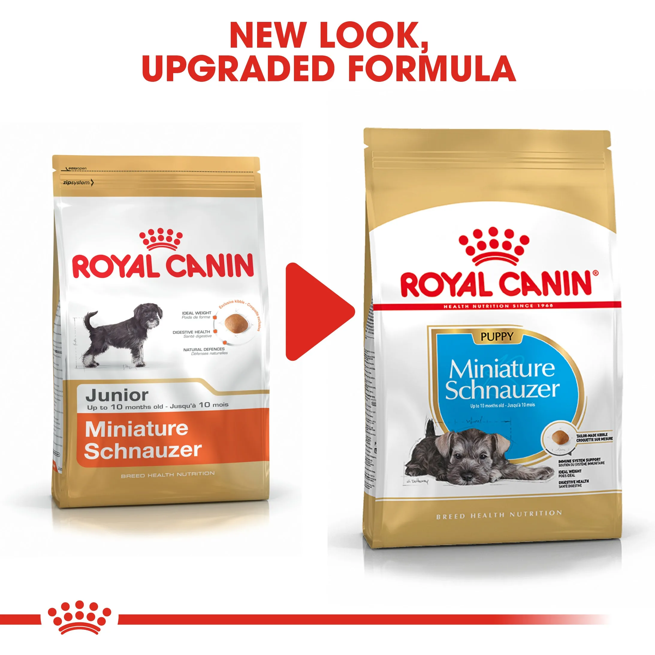 Royal Canin Miniature Schnauzer Puppy/Junior 1.5kg