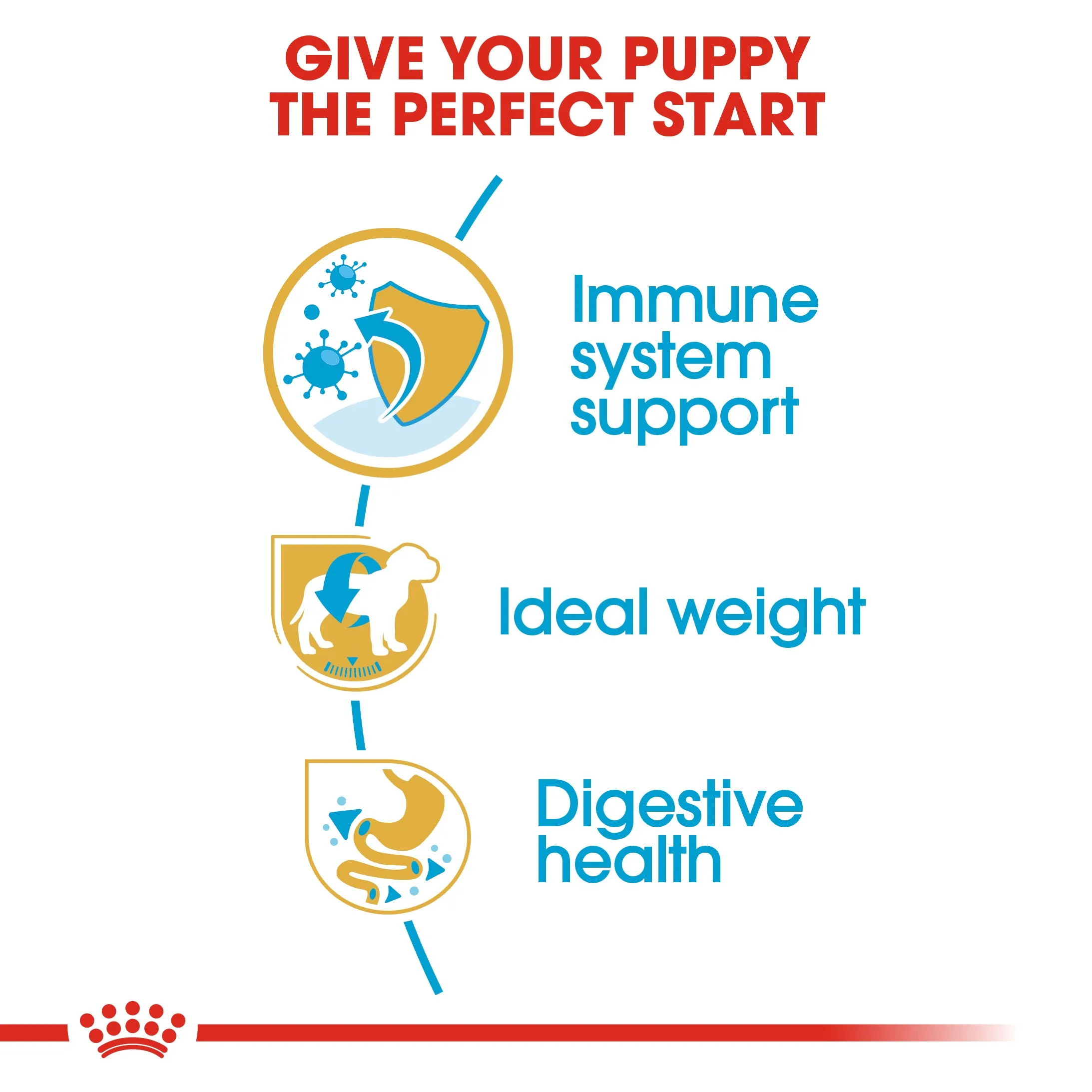 Royal Canin Miniature Schnauzer Puppy/Junior 1.5kg
