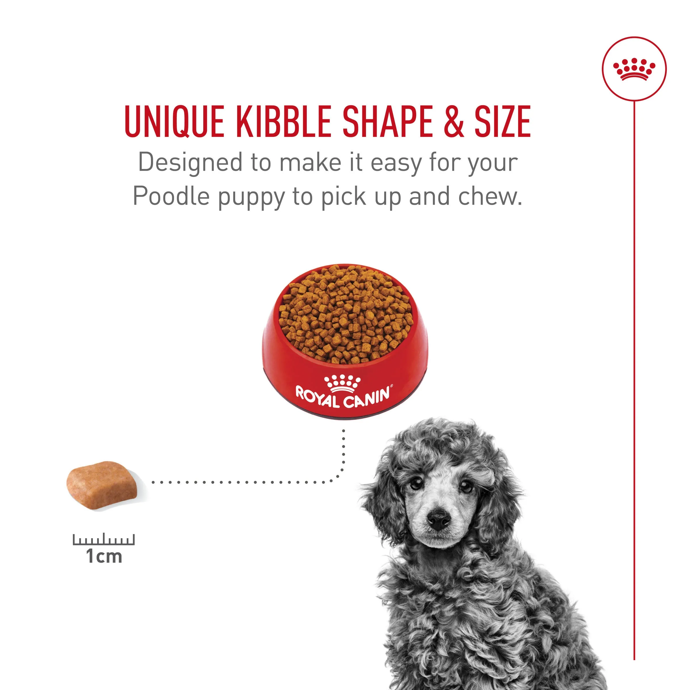 Royal Canin Poodle Puppy Food