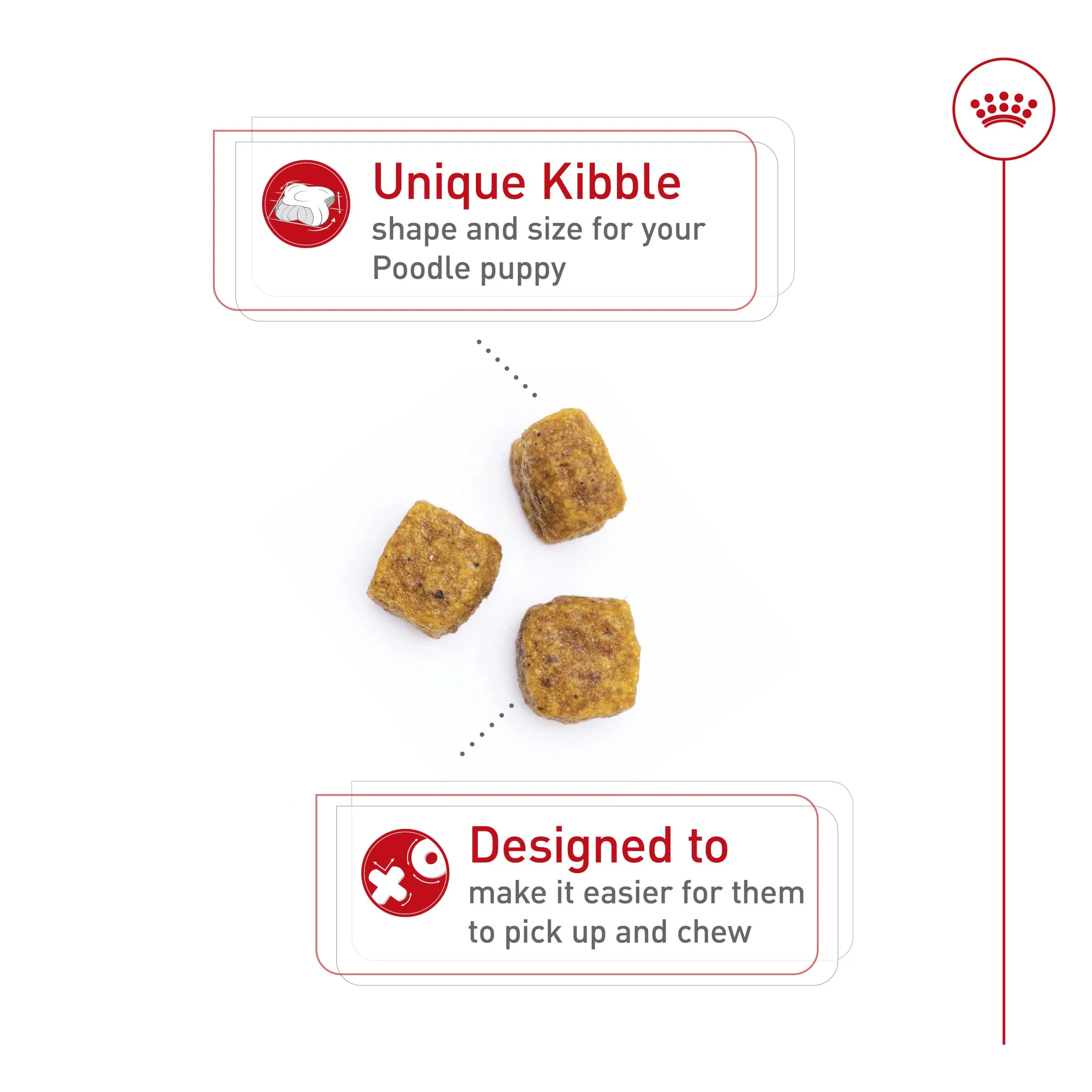 Royal Canin Poodle Puppy Food