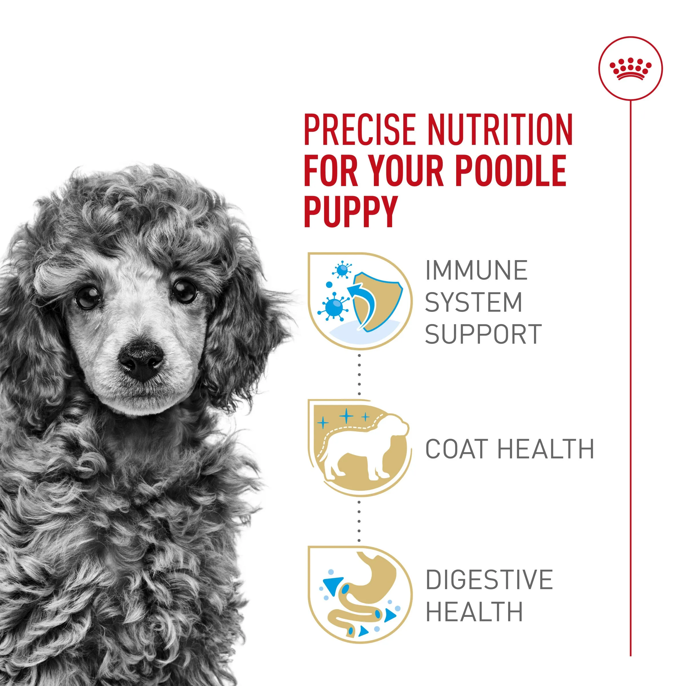 Royal Canin Poodle Puppy Food