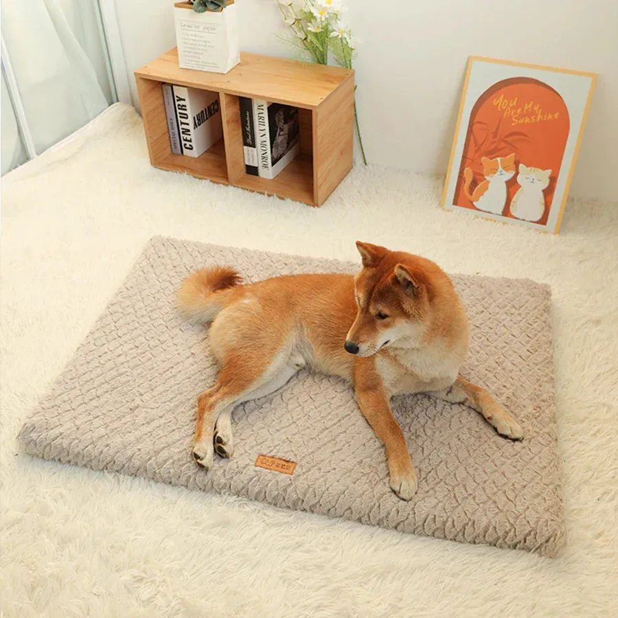 Short Plush Removable Washable Pet Bed – High Elasticity Non-Collapse Dog Bed for Small and Medium Dogs and Cats