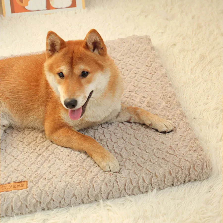 Short Plush Removable Washable Pet Bed – High Elasticity Non-Collapse Dog Bed for Small and Medium Dogs and Cats