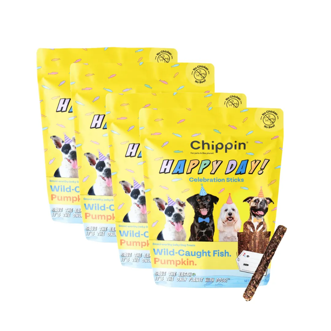 Skin & Coat Celebration Sticks