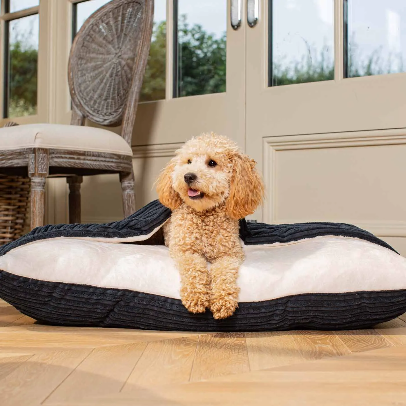 Sleepy Burrows Bed With Removable Cover In Navy Essentials Plush by Lords & Labradors