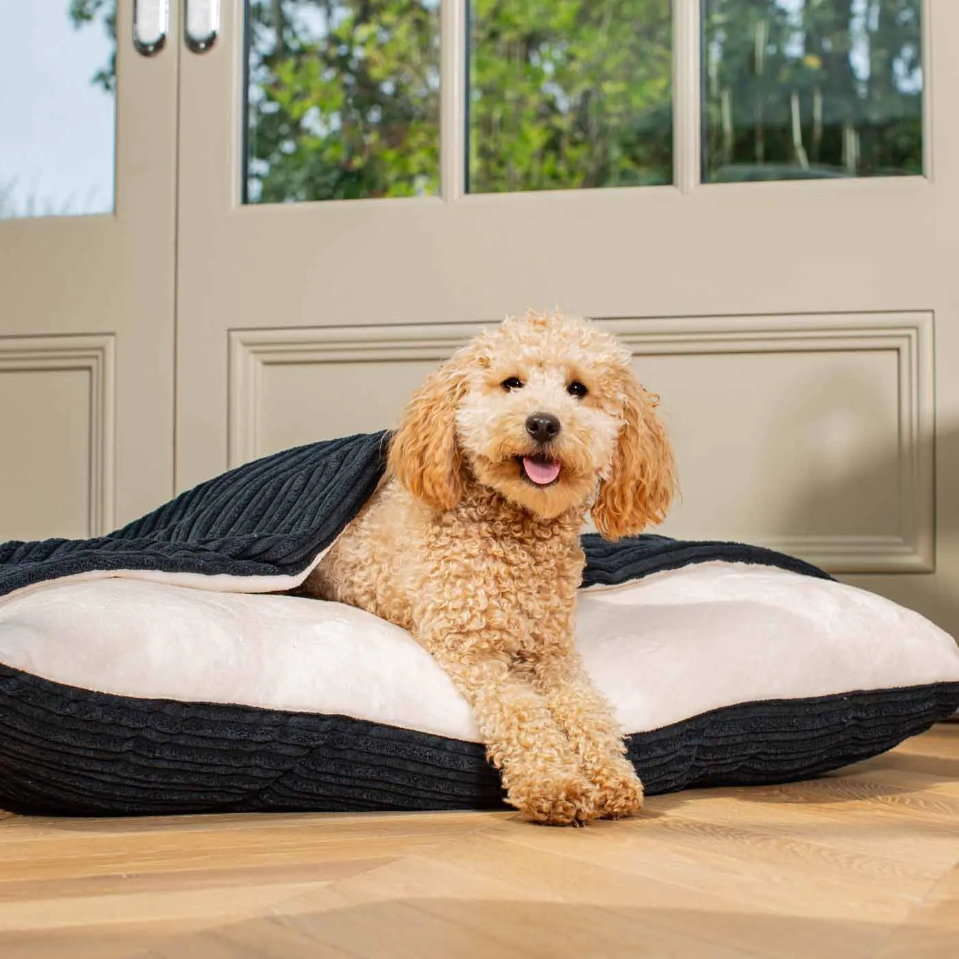 Sleepy Burrows Bed With Removable Cover In Navy Essentials Plush by Lords & Labradors
