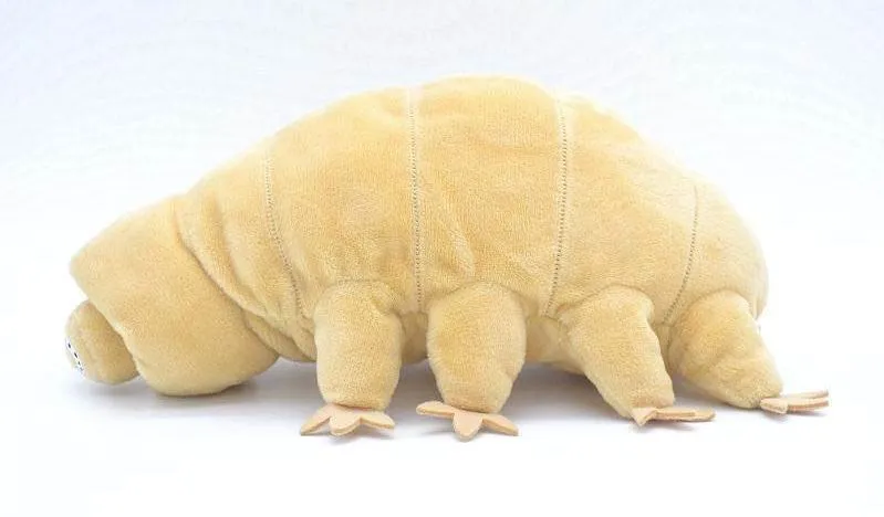 Water Bear Plush Toy - Tardigrade