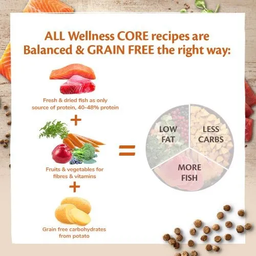 Wellness CORE Original Chicken and Turkey Grain Free Dry Adult Cat Food 1.75kg
