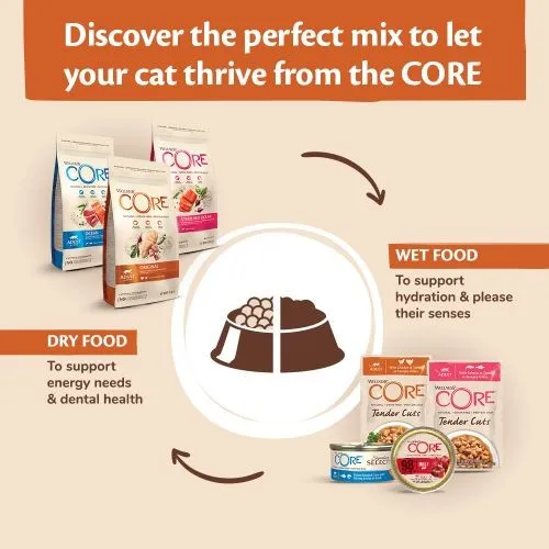Wellness CORE Original Chicken and Turkey Grain Free Dry Adult Cat Food 1.75kg