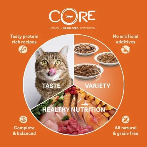 Wellness CORE Tender Cuts Chicken Selection Multipack Wet Adult Cat Food 6x85g