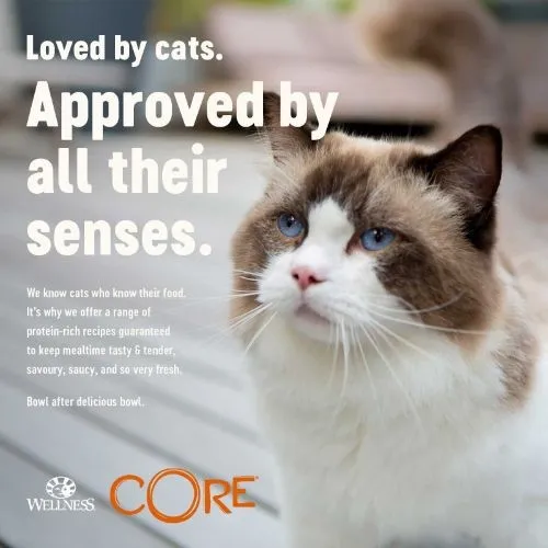 Wellness CORE Tender Cuts Chicken Selection Multipack Wet Adult Cat Food 6x85g