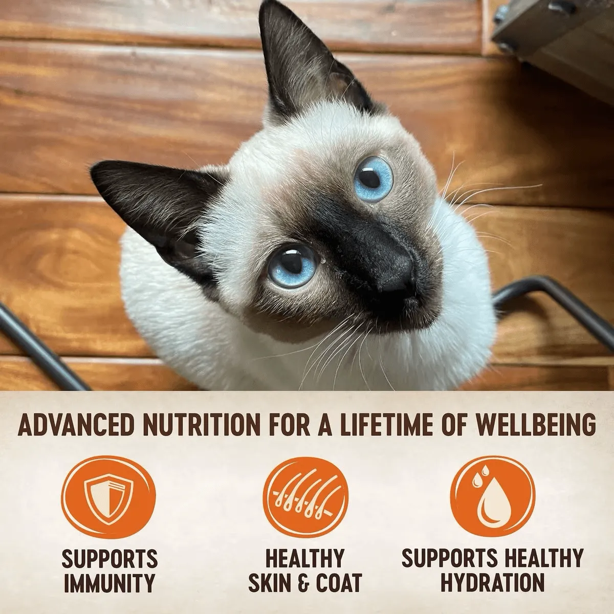 Wellness CORE Tiny Tasters Pâté Land Variety Pack
