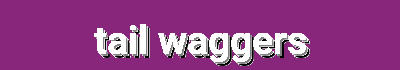 Tail Waggers - Durable Leashes, Stylish Collars, Comfortable Beds & Fun Toys